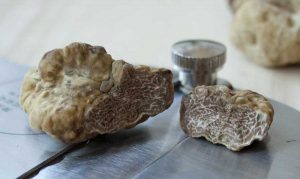 Come conservare il tartufo